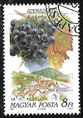 Frutas - Uvas