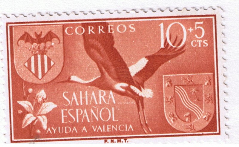 Sahara Ayuda a Valencia