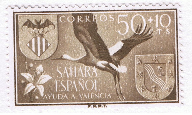 Sahara Ayuda a Valencia