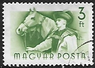 Profesiones - Cuidador de caballos