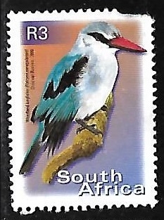 Aves -  Martín Pescador