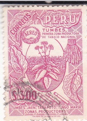 TABACO NACIONAL