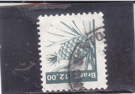 piña