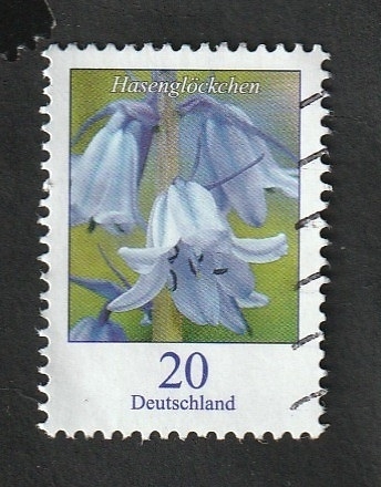 3100 - Flor