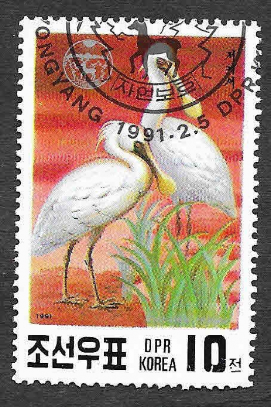 2971 - Espátula Menor