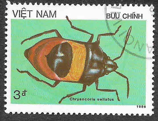 1709 - Insecto