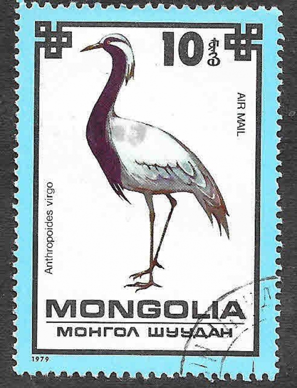 C114 - Grulla Damisela