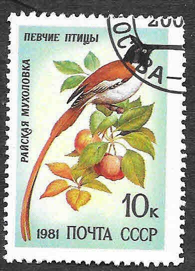 4973 - Monarca Colilargo Asiático