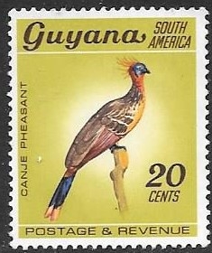 aves