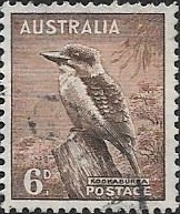 Aves