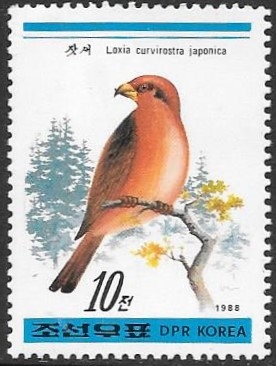 aves