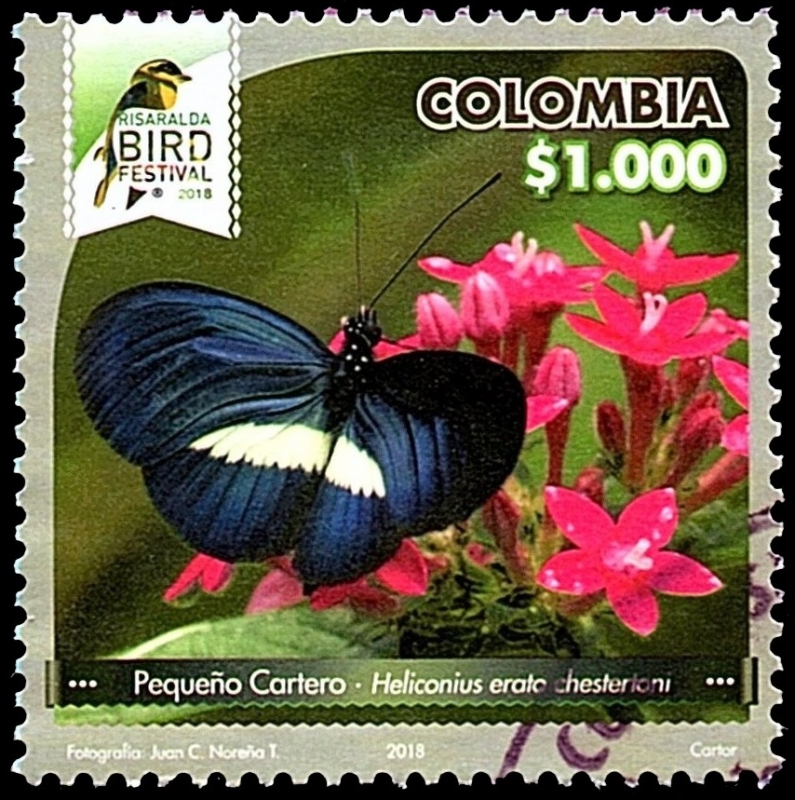 RISARALDA BIRD FESTIVAL 2018