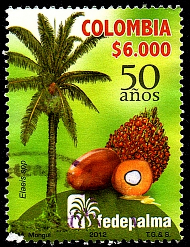 FEDERACIÓN NACIONAL DE CULTIVADORES DE PALMA DE ACEITE - FEDEPALMA 50 AÑOS