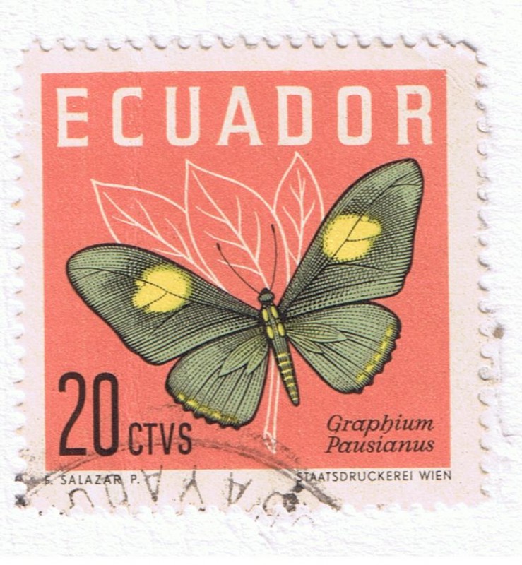 Graphius Paisianus
