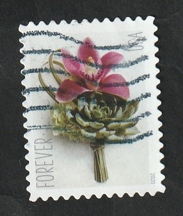 Flora