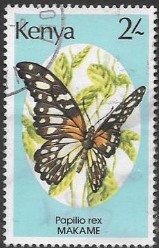 mariposas