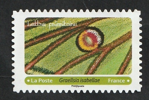 Mariposa
