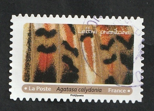Mariposa