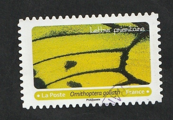 Mariposa