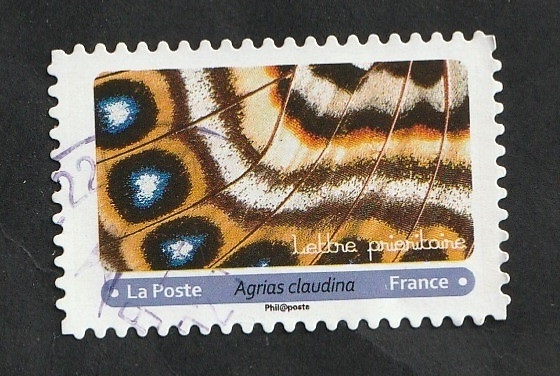 Mariposa