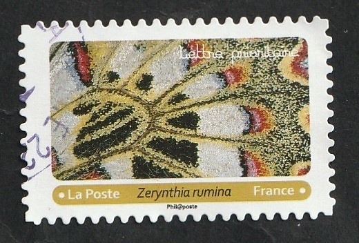 Mariposa