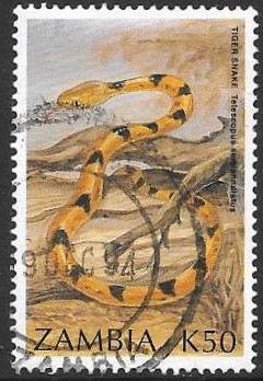 fauna