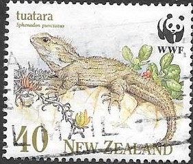 fauna