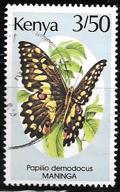 mariposas