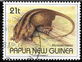 fauna