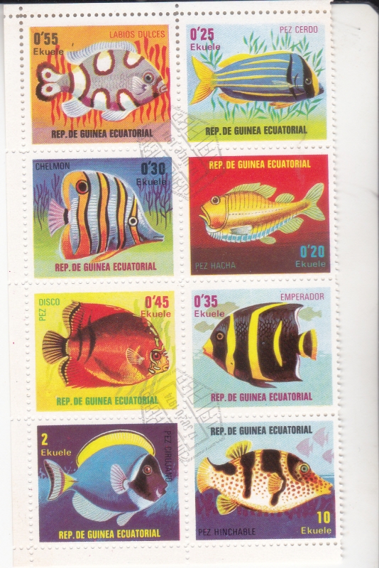 peces tropicales