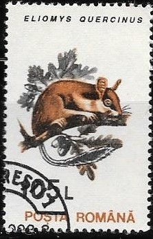 FAUNA