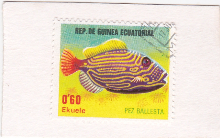 PEZ BALLESTA 