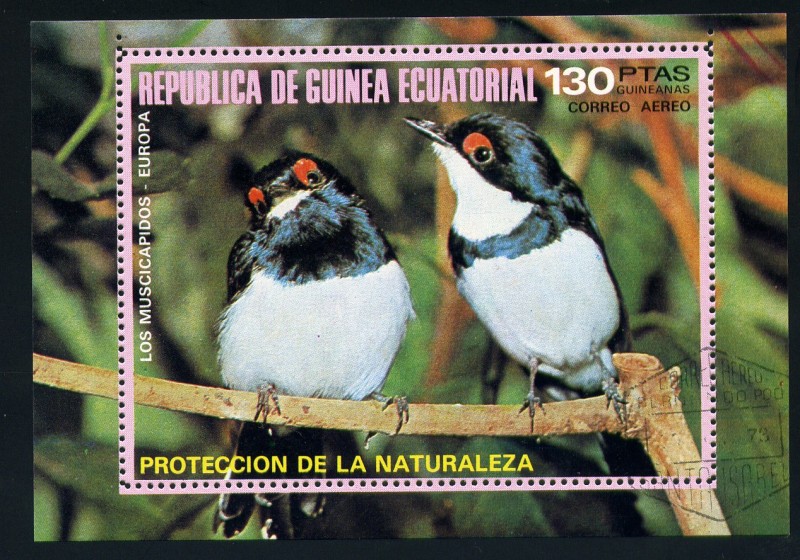 Protección de la Naturaleza