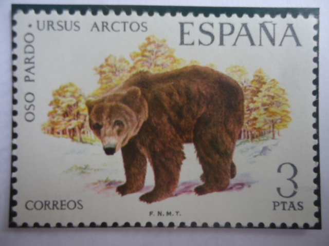 Ed: 2038 - Oso Pardo - Ursus Arctos- Serie:Fauna Española 1971