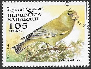 fauna