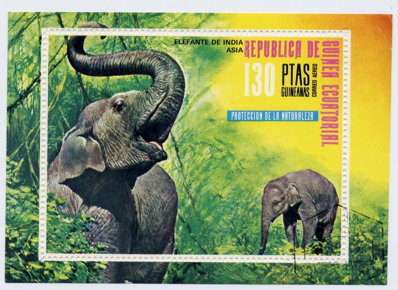 Elefante asiático