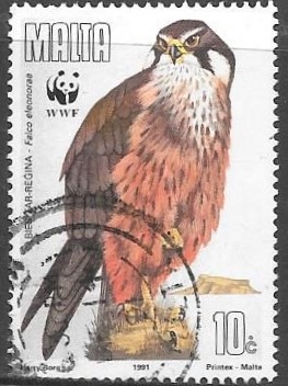 aves 