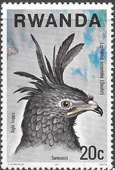 aves