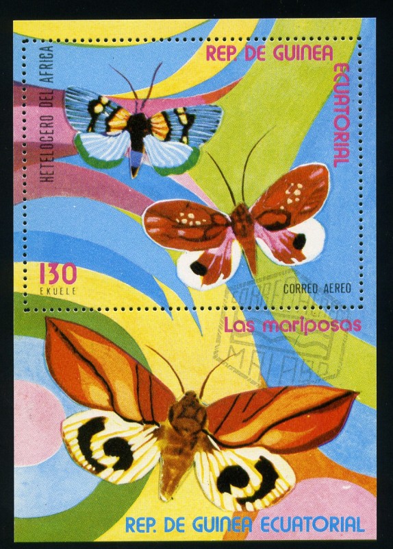 Hetelocero de Africa