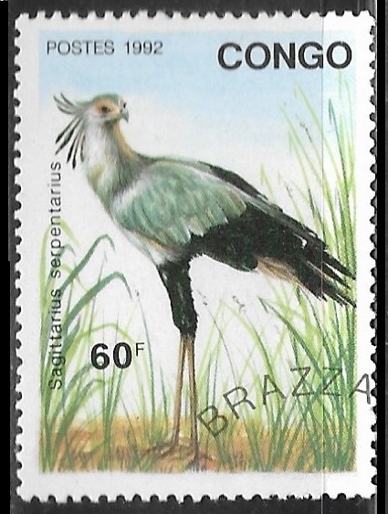 Aves - Sagittarius serpentarius