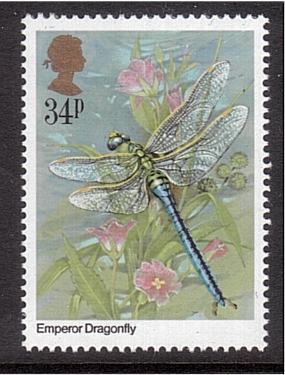 serie- Insectos