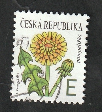 917 - Flor, Taraxacum officinale