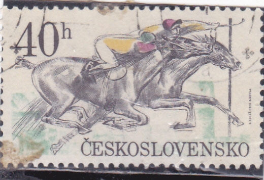 CARRERA DE CABALLOS