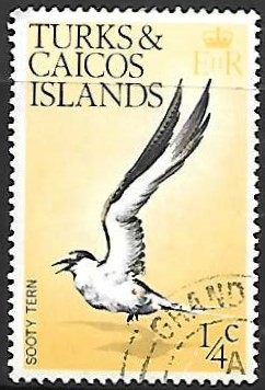 aves