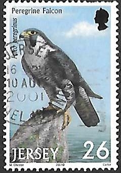 aves
