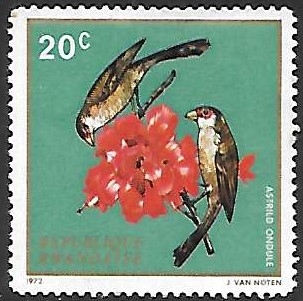aves