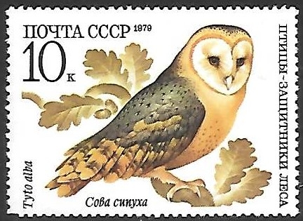 aves