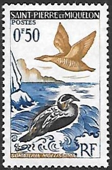 aves
