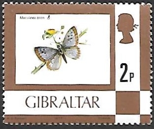 mariposas