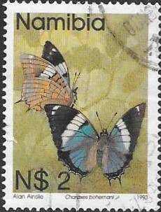mariposas